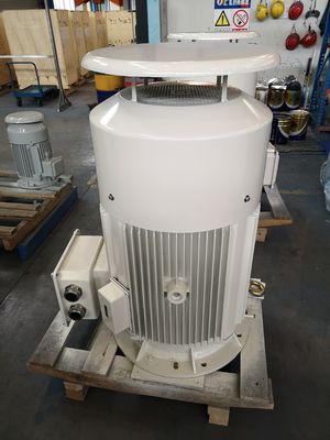 Bajo motor asincrónico del motor 380v IE4 de la jaula de ardilla de la tensión del OEM