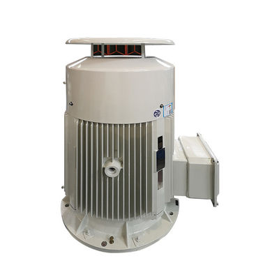 380v / grado trifásico de la protección IP55 del motor de inducción de la baja tensión 400v