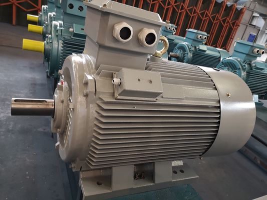 inversor trifásico medio del motor de inducción de la jaula de ardilla del voltaje de 6kv 10kv